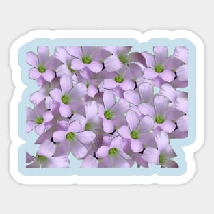 LIGHT PINK FLOWERS Sticker